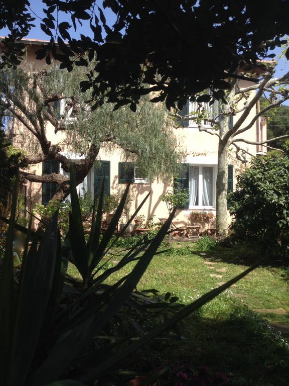 Villa Pretorina Cannes Exteriér fotografie
